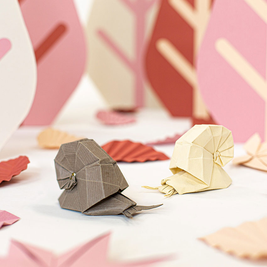 CHD Animation - Creative studio - scenografie per set fotografico - origami, paper art, paper design